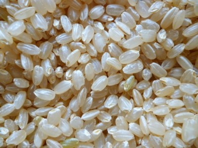 粉末玄米